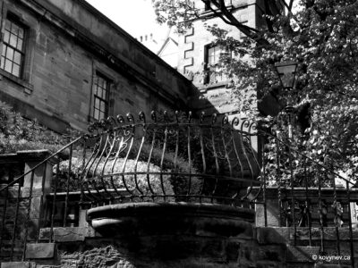 Image description