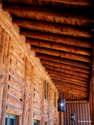 Image description