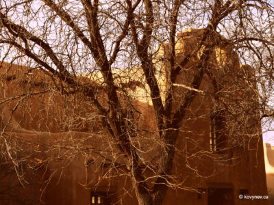 Image description