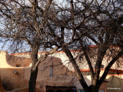 Image description
