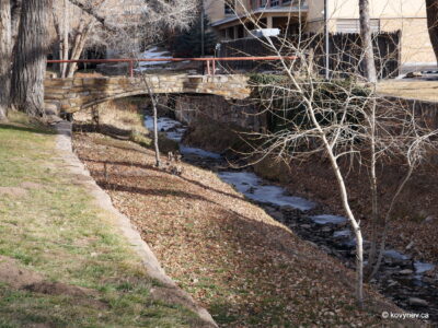 Image description