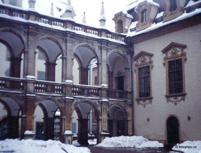 Image description