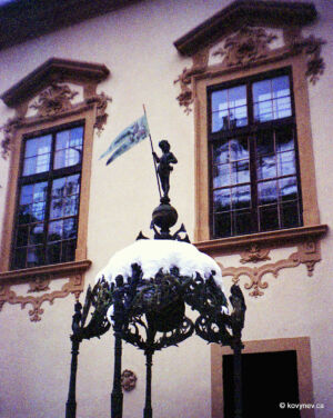 Image description