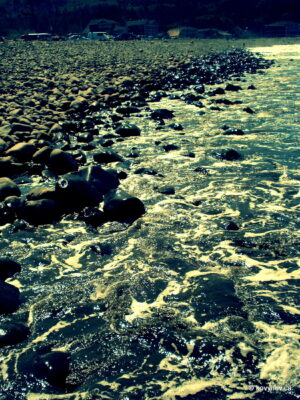 Image description