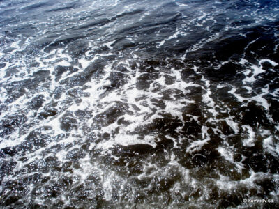 Image description
