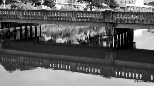 Image description