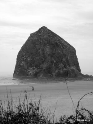 Image description