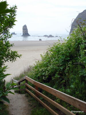 Image description