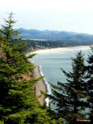 Image description