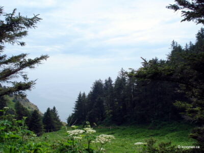 Image description