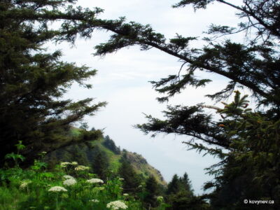 Image description