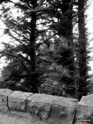 Image description