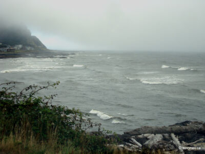 Image description