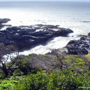Image description