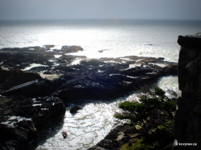 Image description