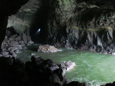 Image description