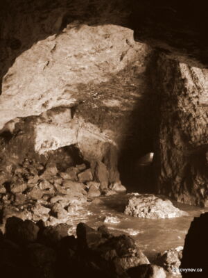 Image description