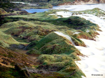 Image description