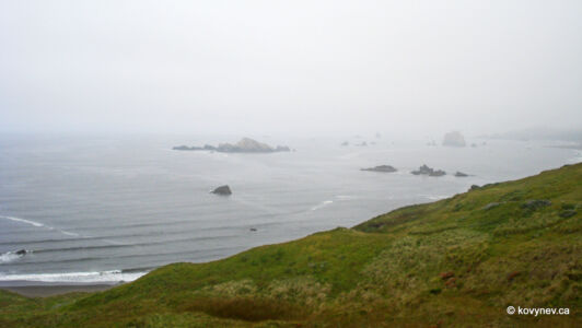 Image description