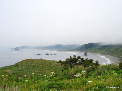 Image description