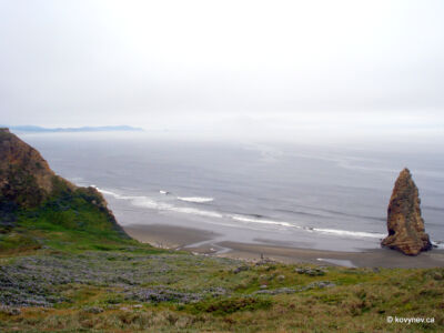 Image description