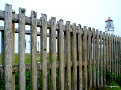Image description