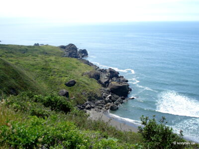 Image description