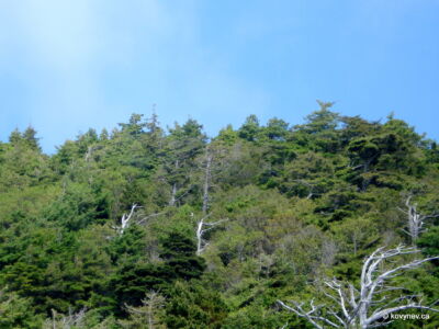 Image description