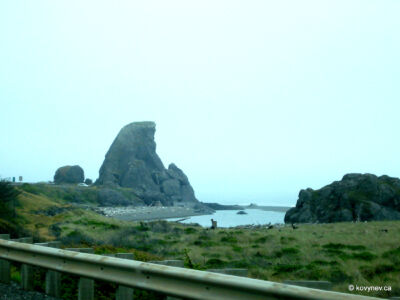 Image description