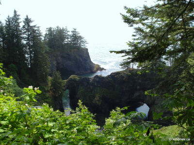 Image description