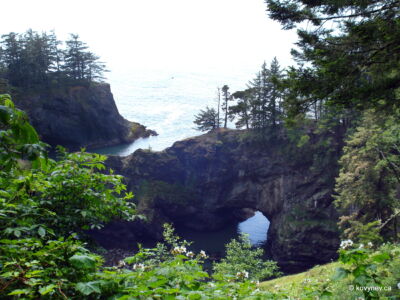 Image description