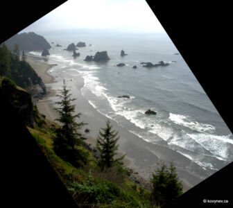 Image description
