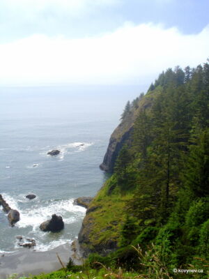 Image description